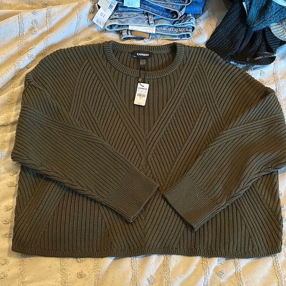 Express cropped sweater
